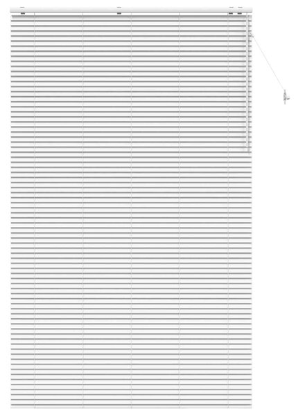 Venet školní žaluzie Bílá 145 x 250 cm 35 mm Masivní paulovnie