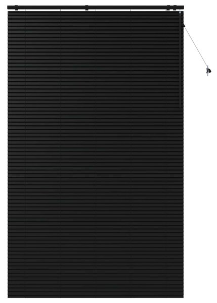Venet školní žaluzie Černá 145 x 250 cm 35 mm Masivní paulovnie