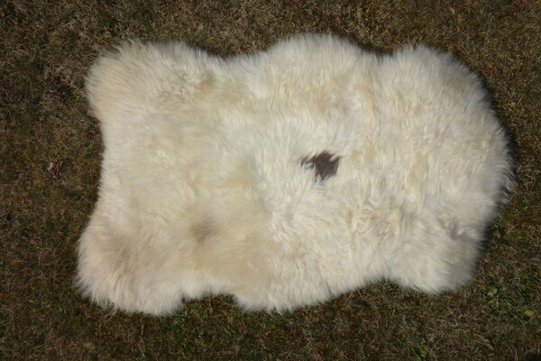 ARCTIC FUR Ovčí kožešina béžová 100% příroda