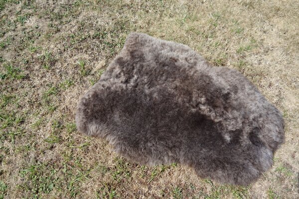 ARCTIC FUR Ovčí dekorační předložka 100% příroda
