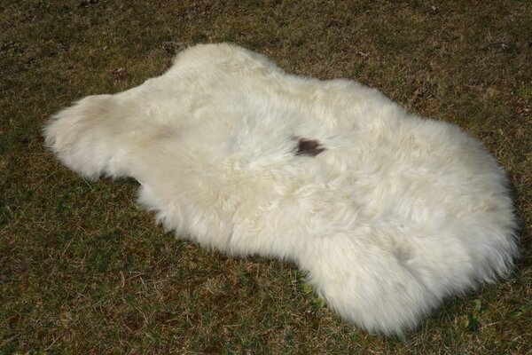ARCTIC FUR Ovčí kožešina béžová 100% příroda