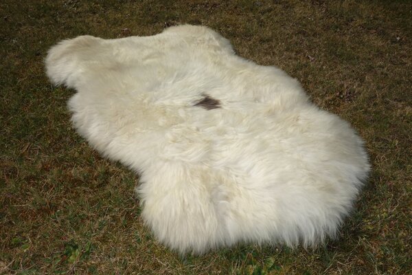 ARCTIC FUR Ovčí kožešina béžová 100% příroda