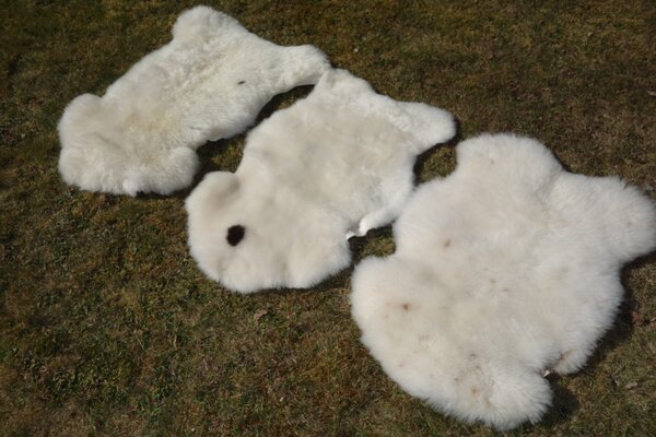 ARCTIC FUR Ovčí kožešina béžová 100% příroda