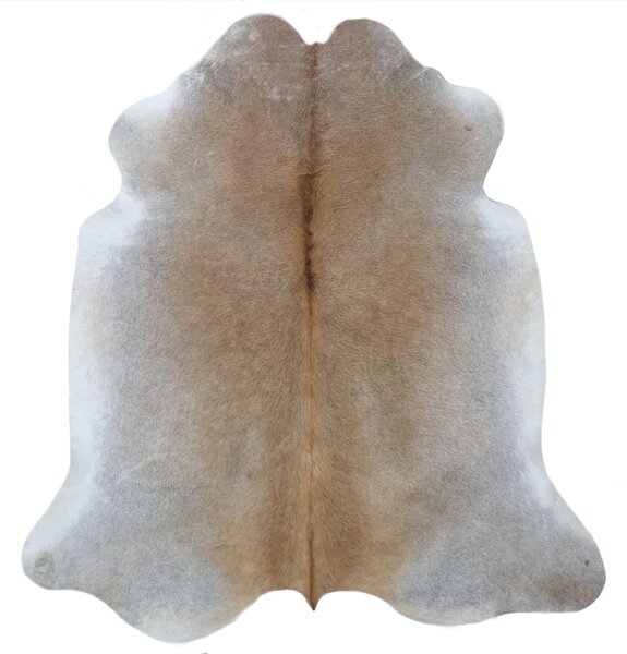 ARCTIC FUR Hovězí předložka 100% příroda