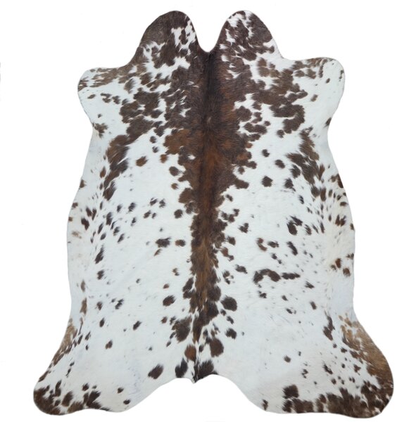 ARCTIC FUR Hovězí předložka 100% příroda