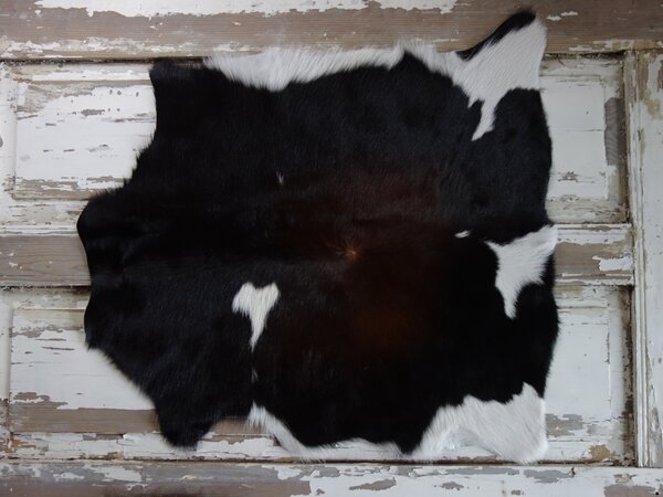 ARCTIC FUR Pravá kůže z teletiny 6070 100% příroda