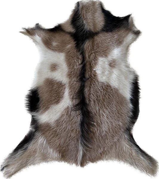 ARCTIC FUR Kozinka ALPS 6082 100% příroda