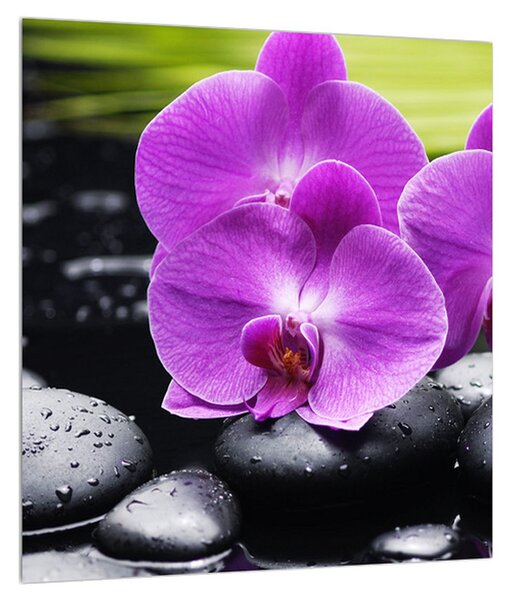 Obraz orchidejí (30x30 cm)