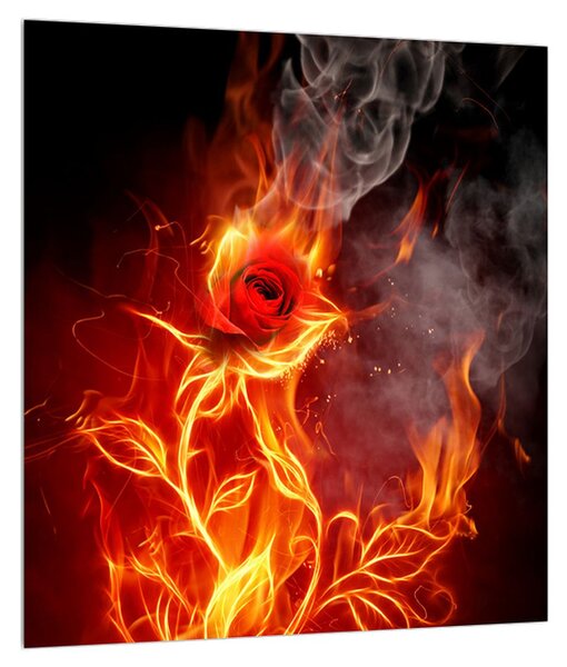 Obraz růže v ohni (30x30 cm)