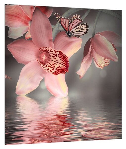 Obraz květů a motýla (30x30 cm)
