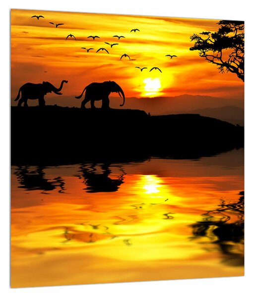 Obraz africké krajiny se slonem (30x30 cm)