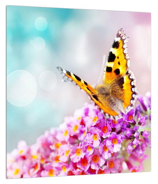 Obraz motýla na květech (30x30 cm)