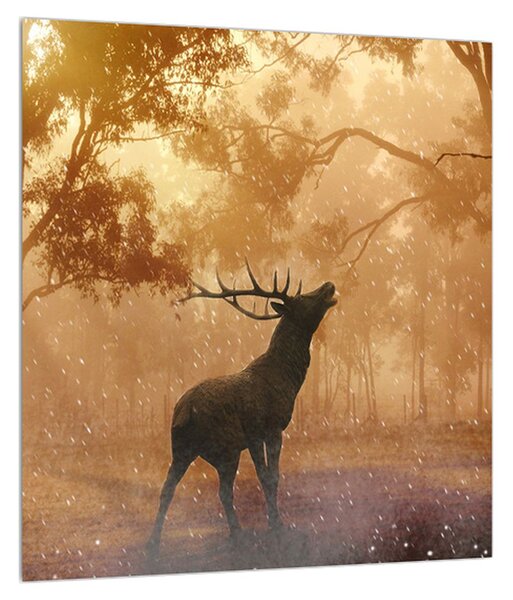 Obraz jelena v říji (30x30 cm)
