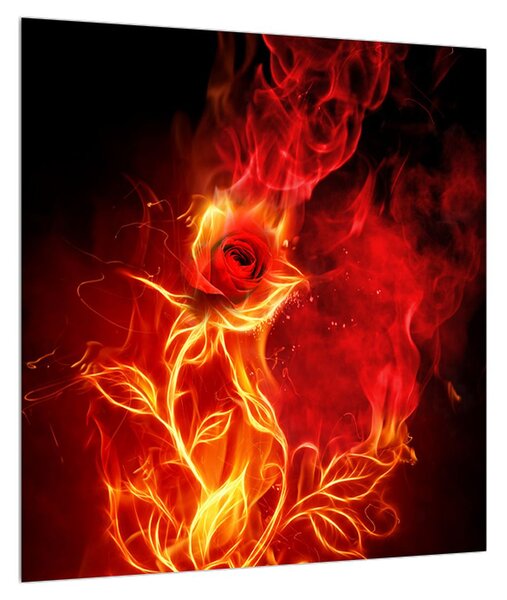 Obraz růže v ohni (40x40 cm)