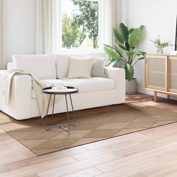 Kusové koberce Obdélníkový AGIRA Přírodní 230 x 160 cm