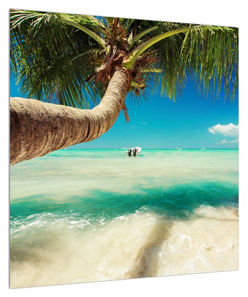 Obraz čistého moře s palmou (50x50 cm)