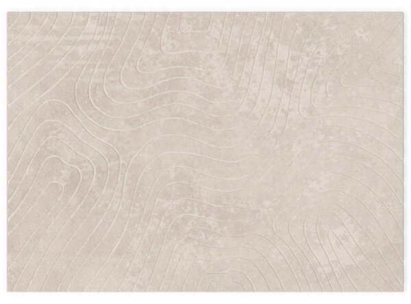 Kusové koberce PALMERAS Béžová 200 x 280 cm Polyester