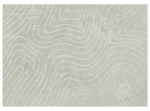 Kusové koberce PALMERAS Zelená 200 x 280 cm Polyester