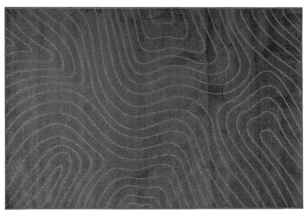 Kusové koberce PALMERAS Antracit 170 x 120 cm Polyester