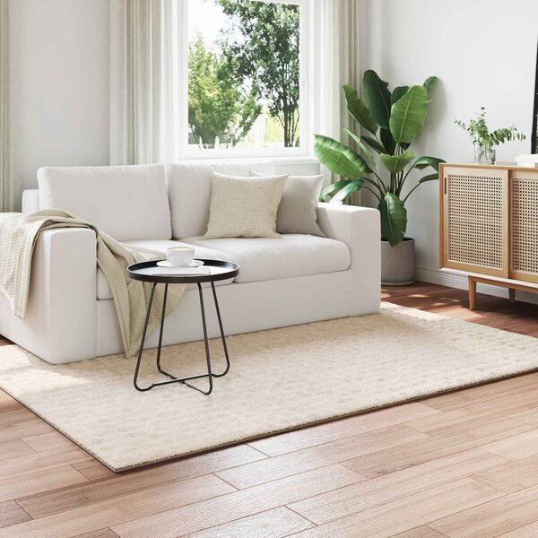 Kusové koberce Obdélníkový SIROLO Béžová 170 x 120 cm Polyester