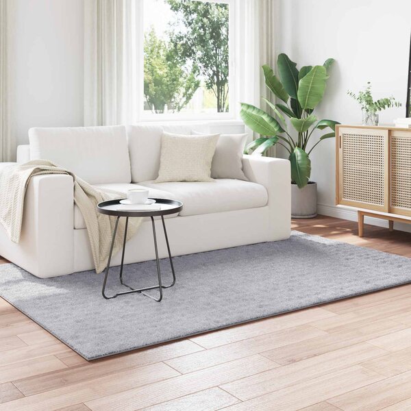 Kusové koberce Obdélníkový SIROLO Šedá 170 x 120 cm Polyester
