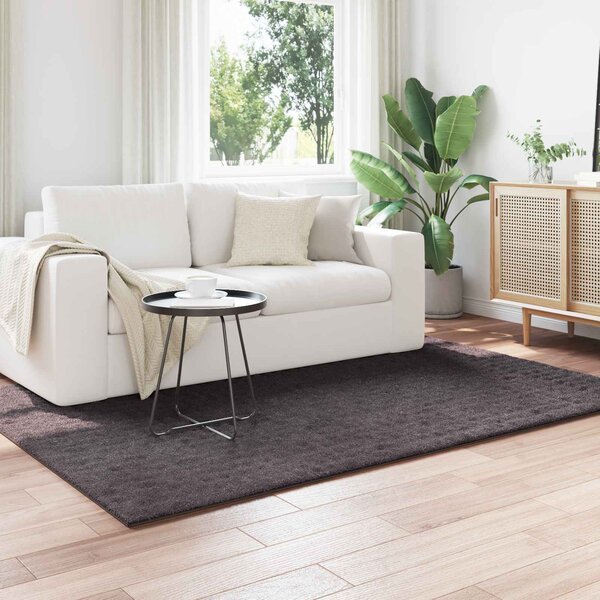 Kusové koberce SIROLO Antracitová 170 x 120 cm Polyester