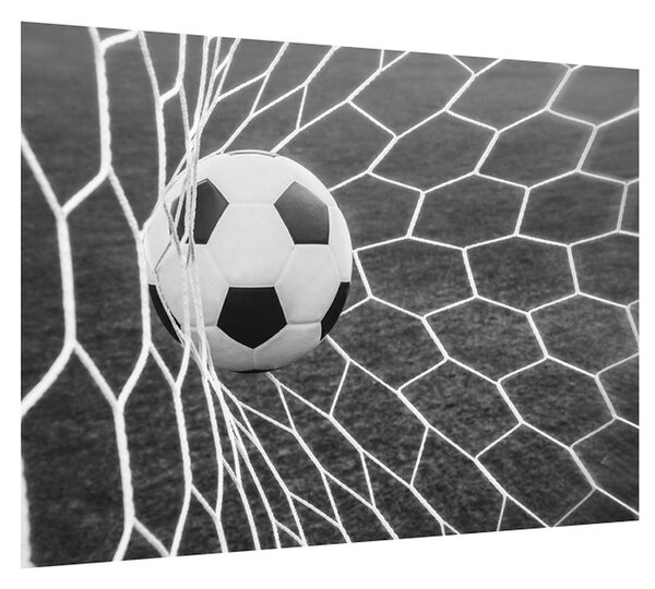 Fotbalový míč v síti (70x50 cm)