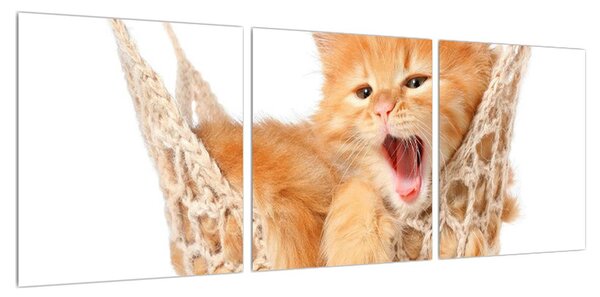 Obraz kočky v síti (90x30 cm)