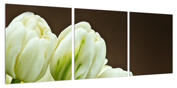 Obraz tulipánů (90x30 cm)