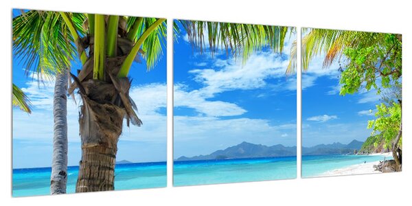 Obraz palmy a pláže (90x30 cm)