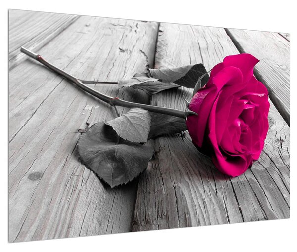 Obraz růžové růže (90x60 cm)