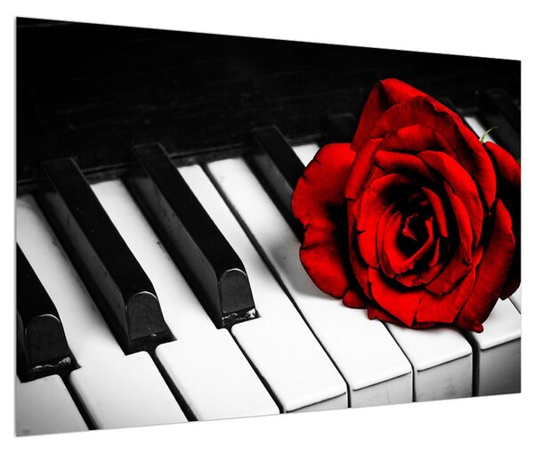 Obraz růže a klavíru (90x60 cm)