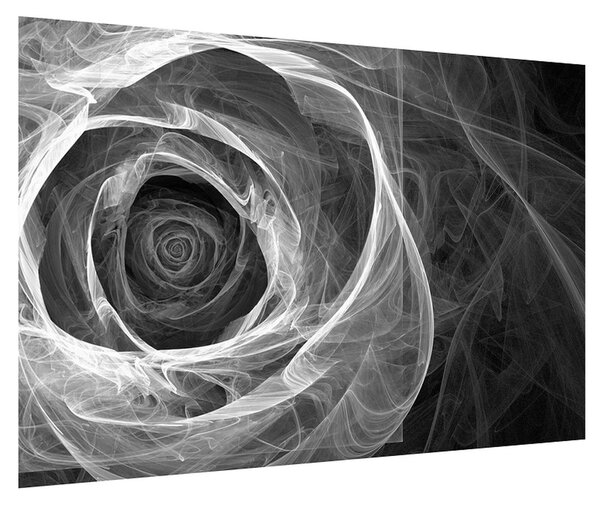 Černobílý obraz abstraktní růže (90x60 cm)