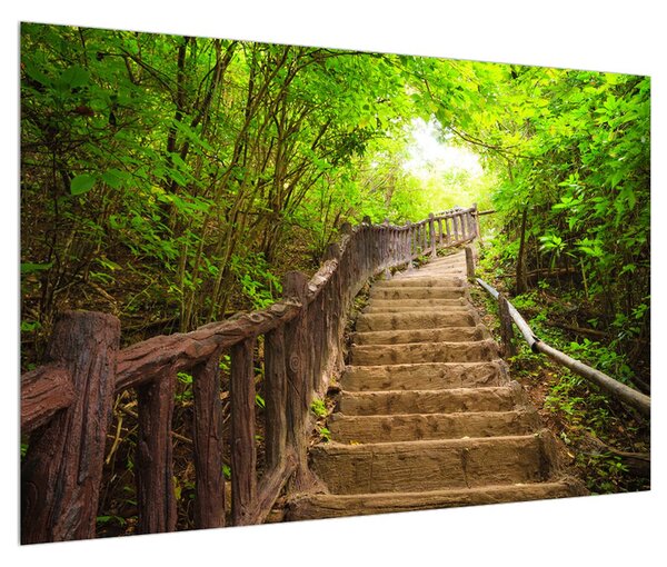 Letní obraz schodů v přírodě (90x60 cm)