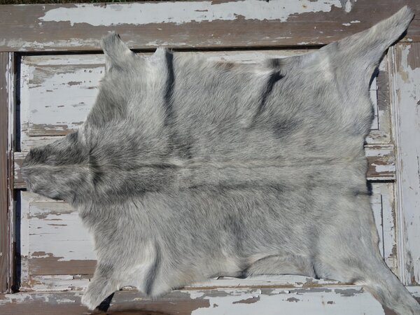 ARCTIC FUR Kozí kůže ALPS 6088 100% příroda