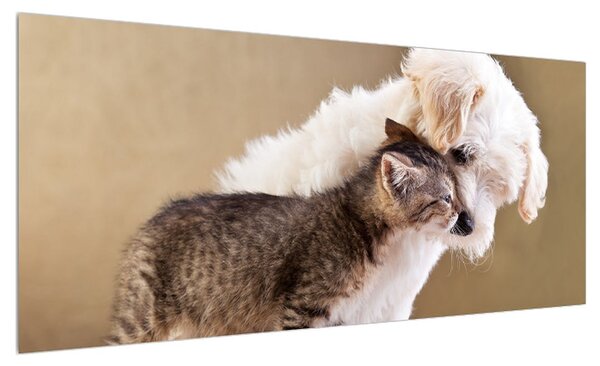 Obraz kočky se psem (100x40 cm)