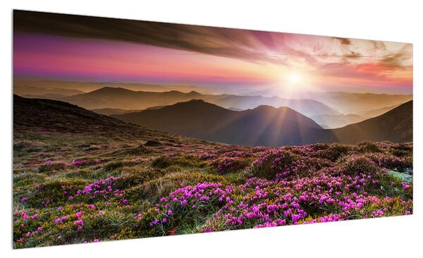 Obraz horské rozkvetlé krajiny (100x40 cm)