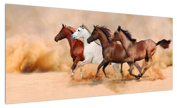 Obraz koní (100x40 cm)