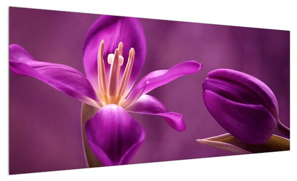 Obraz fialového květu (100x40 cm)