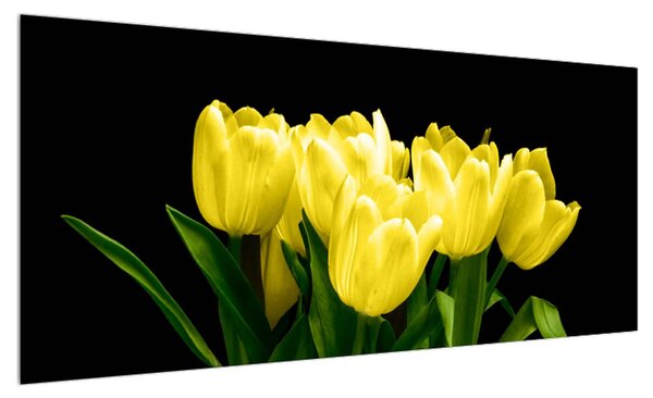 Obraz žlutých tulipánů (100x40 cm)