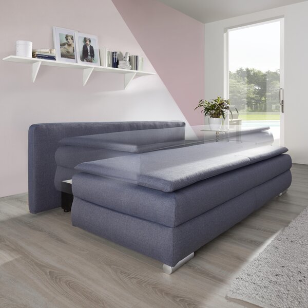 ROZKLÁDACÍ POHOVKA, textil, světle šedá Livetastic - Rozkládací pohovky, Online Only