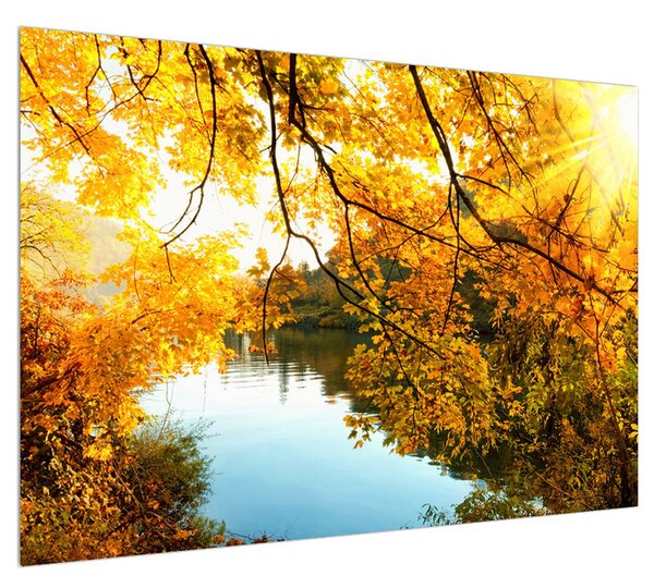 Podzimní obraz stromu (100x70 cm)