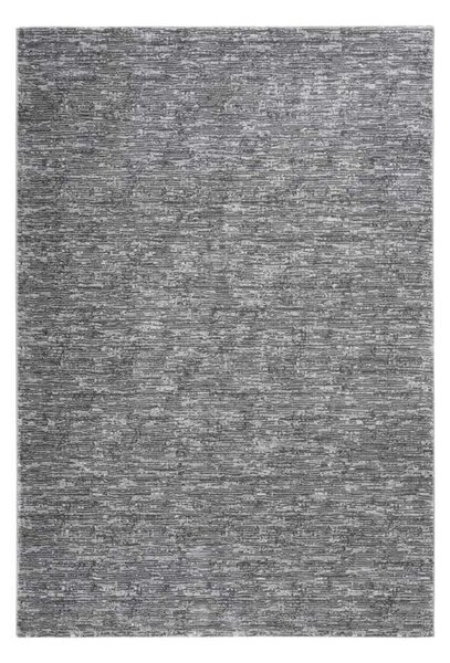 Lalee Kusový koberec Palma 500 Silver Rozměr koberce: 80 x 150 cm