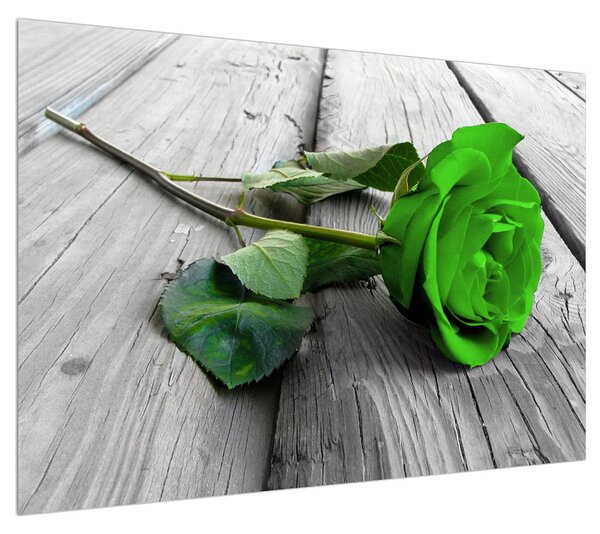 Obraz zelené růže (100x70 cm)