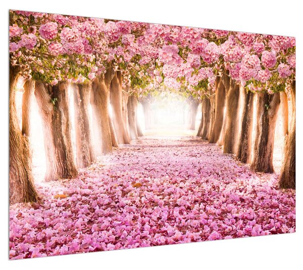 Obraz květinového chodníku (100x70 cm)
