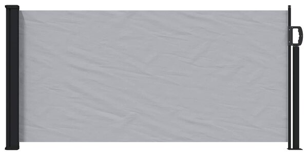 Výsuvná boční markýza Šedá 300 x 100 cm Polyester