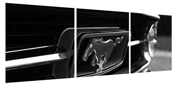 Detailní obraz automobilu značky Mustang (120x40 cm)