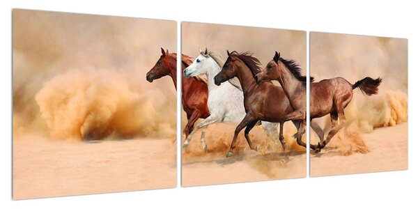 Obraz koní (120x40 cm)
