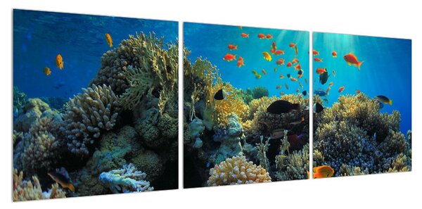 Obraz podmořského světa (120x40 cm)