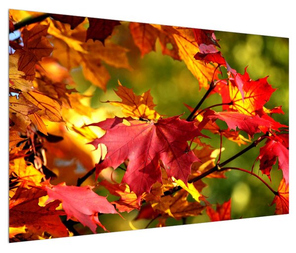 Obraz podzimních listů (120x80 cm)